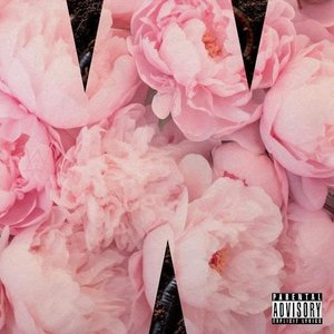 Image for 'Wiplash'