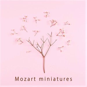 Изображение для 'Mozart Miniatures'