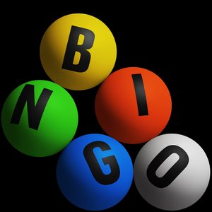 “Bingo”的封面