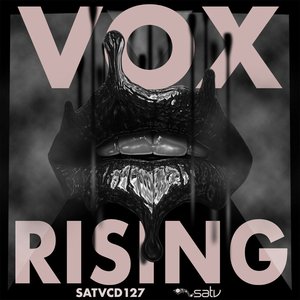 Image for 'Vox Rising'
