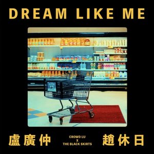 “DREAM LIKE ME”的封面