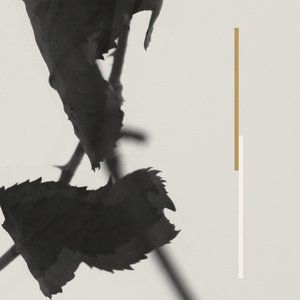 Grafts - EP