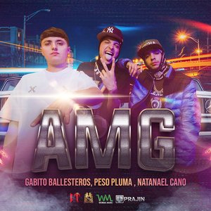 Image for 'AMG'