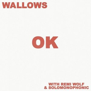Image for 'OK (with Remi Wolf & Solomonophonic)'
