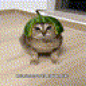 puffsmusic