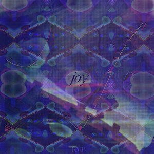 “Joy”的封面