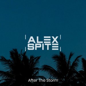 Image for 'After the Storm'