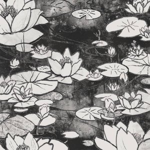 Image for 'a pond of lilies'