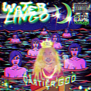 Image for 'Water Lingo'