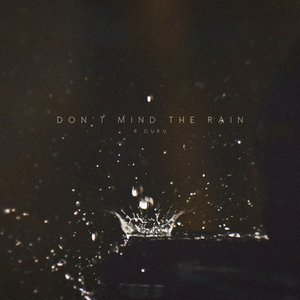 Image for 'Don't Mind The Rain'