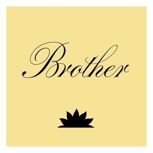 “Brother”的封面