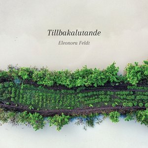 Image for 'Tillbakalutande'