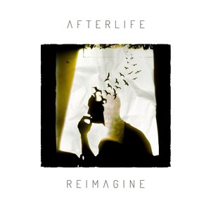Image for 'Reimagine'