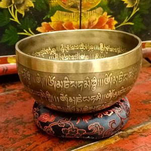 Image for 'Campana tibetana'