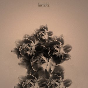 “Mystique”的封面