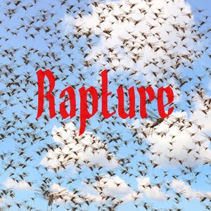 “Rapture”的封面