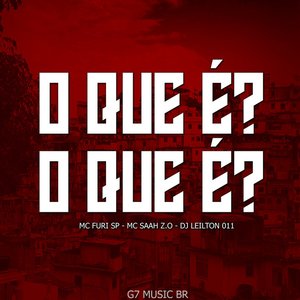 Image for 'O QUE É?O QUE É?'