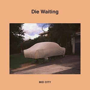 “Die Waiting”的封面