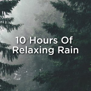 Bild för '10 Hours Of Relaxing Rain'