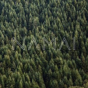 “Namai”的封面