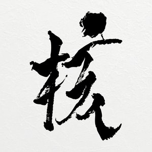 Image pour 'THE CORE - 核'