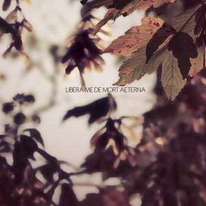 Image for 'LIBERA ME DE MORT AETERNA'