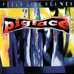 Image for 'Feels Like Heaven… Sounds Like Shit!'