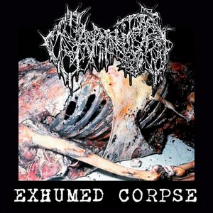 Image for 'Exhumed Corpse'
