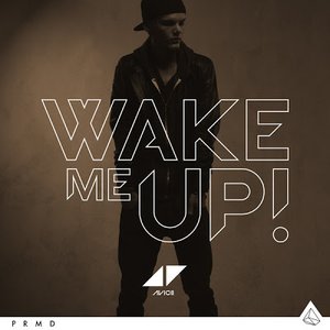 Image for 'Wake Me Up'