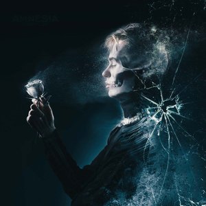 Image for 'AMNESIA'