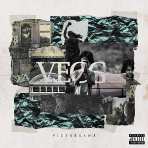Image for 'V. E. C. G.'