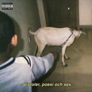 'PISTOLER POESI OCH SEX'の画像