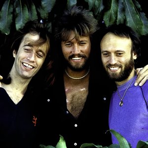 “Bee Gees”的封面
