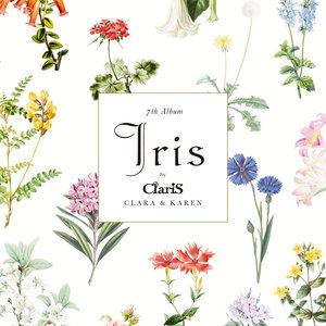 Image for 'Iris'