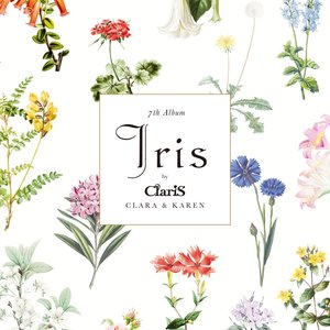 Image pour 'Iris'