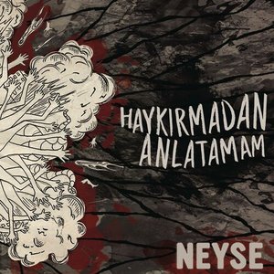 'Haykırmadan Anlatamam' için resim