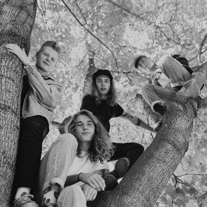 Image for 'The Backseat Lovers'