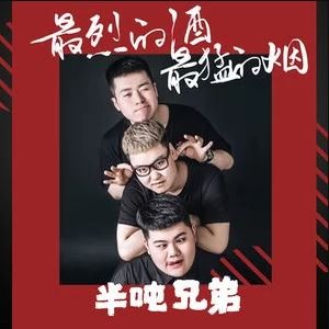 “半吨兄弟”的封面