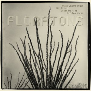 “Floratone”的封面