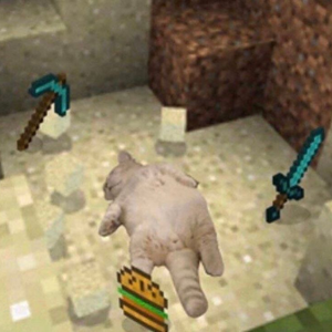 n0tmars
