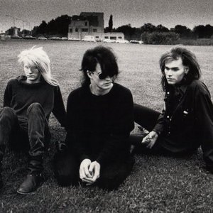 “Skinny Puppy”的封面