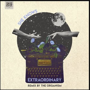 Изображение для 'Extraordinary'