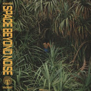 “space beyond noise”的封面