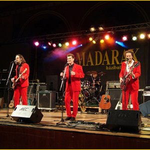 Image for 'Madarak'