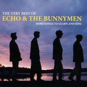 Image for 'The Very Best of Echo & the Bunnymen: More Songs to Learn and Sing [CD/DVD] Disc 1'