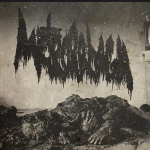 Image for 'Carbonized Isolation'