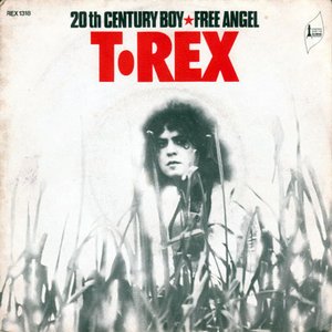 Immagine per '20th Century Boy'