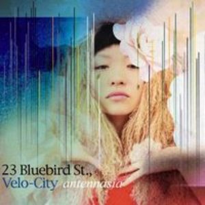 '23 Bluebird St, Velo-city' için resim