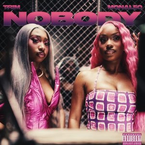 Bild für 'Nobody (Remix) - Single'