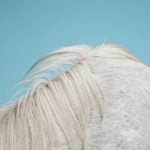 Image for 'All Yours'